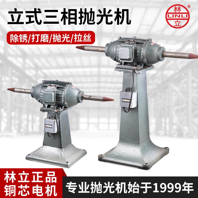 林立除锈抛光机打磨机拉丝机砂轮机砂带机拉丝机立式台式工业家用