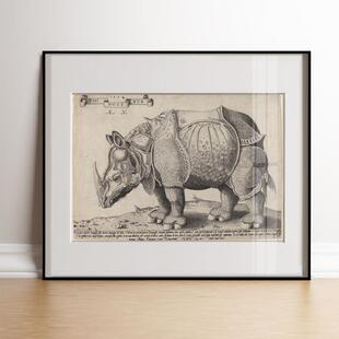 阿尔布雷特丢勒版画犀牛欧式复古世界名画餐客厅沙发背景墙壁挂画
