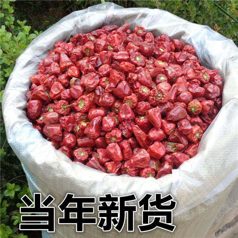 贵州小个灯笼椒 草莓椒 小灯笼椒中辣特香麻辣香锅火锅海椒干辣椒