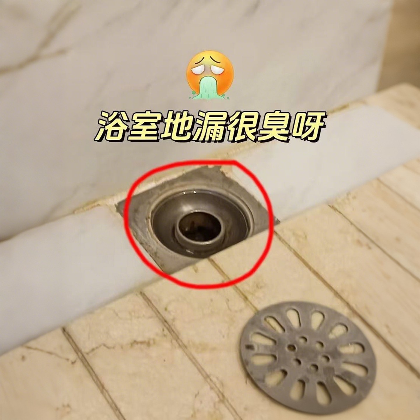 浴室厕所防虫不锈钢地漏防臭内芯防返水臭气神器密其它卫浴配件