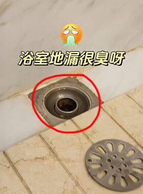 浴室厕所防虫不锈钢地漏防臭内芯防返水臭气神器密其它卫浴配件