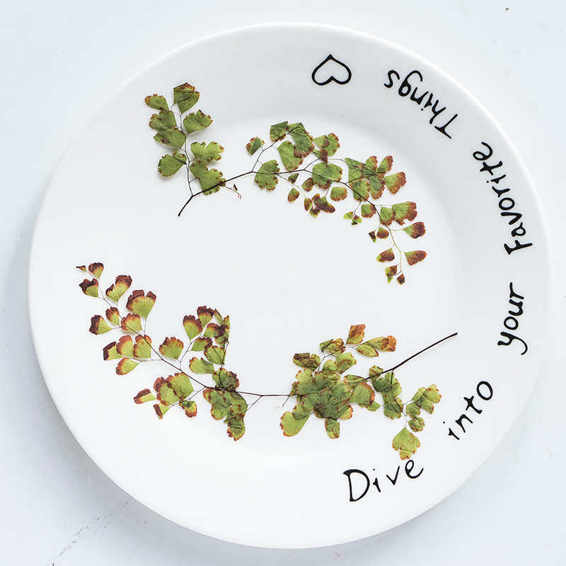 铁线蕨 押花干花压花滴胶手机壳香薰蜡烛蜡片diy材料植物教学标本,鲜花速递/花卉仿真/绿植园艺,干花,淘宝优惠券,粉丝福利购,淘宝优惠卷