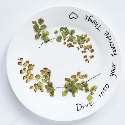 铁线蕨 押花干花压花滴胶手机壳香薰蜡烛蜡片diy材料植物教学标本