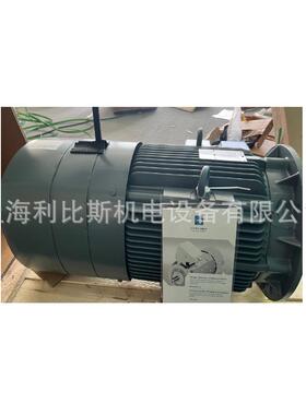 德国VEM电机 伺服电机 B21R 160L 4 MAY KR TPM IGR HB FN 三相异