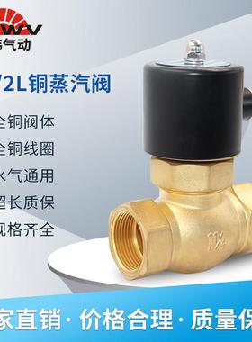 全铜高温蒸汽阀电磁阀US/2L-15 20 25 35 40 50 DN15 20 25AC220V