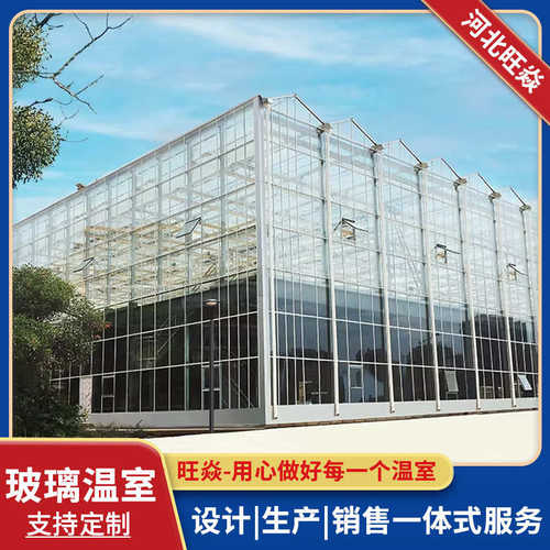 玻璃温室大棚智能温室大棚骨架蔬菜育苗养殖大棚农业观光温室大棚