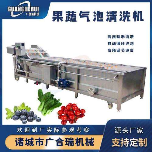 果蔬气泡清洗机毛豆辣椒大姜白菜清洗风干设备喷淋气泡清洗机