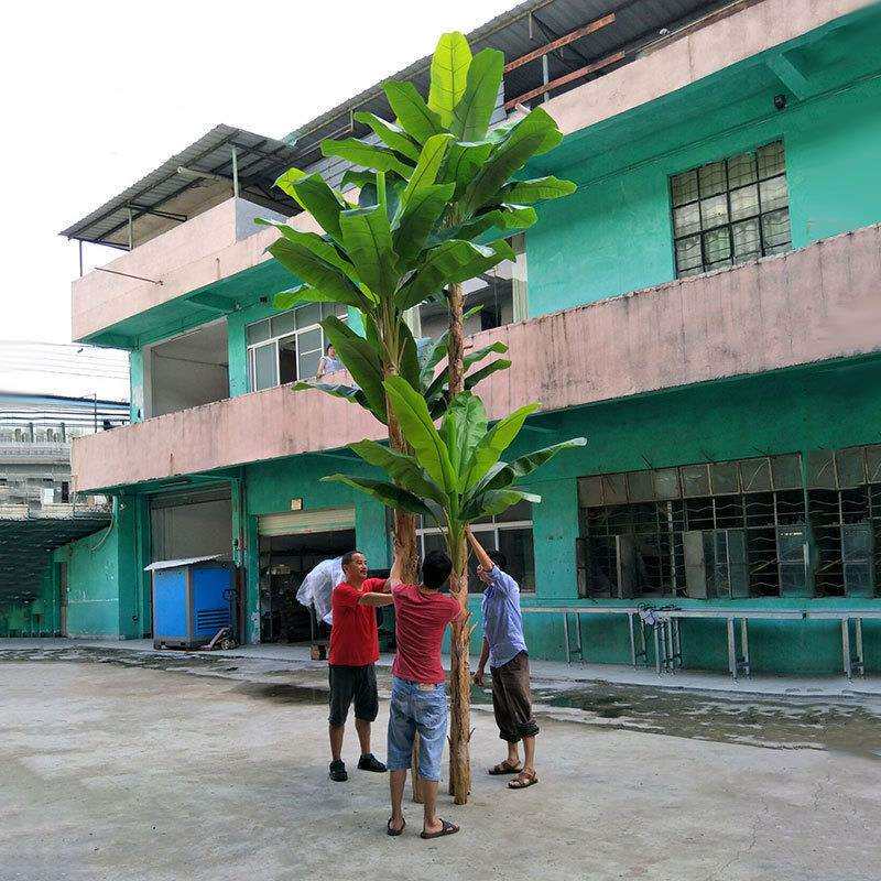 按要求制作仿真芭蕉树过胶手叶质感办公室商场装饰假绿植盆栽5米