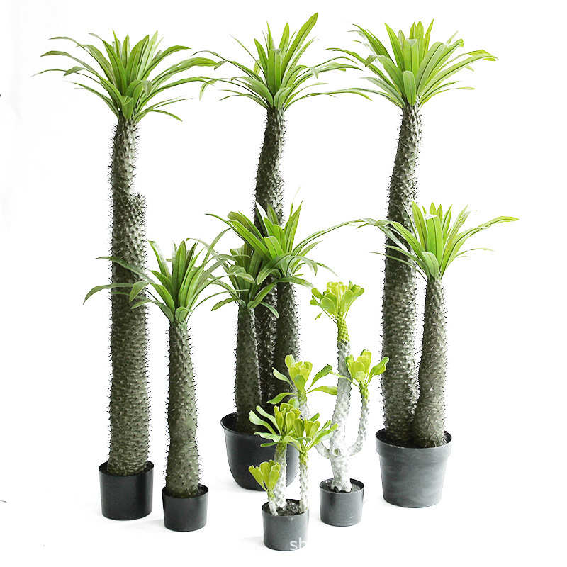 仿真非洲霸王树盆栽热带沙漠绿植假植物软装店铺橱窗造景装饰摆件