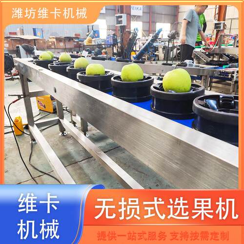 秋月梨草莓分级机全程无损操作简单苹果草莓番茄选果机