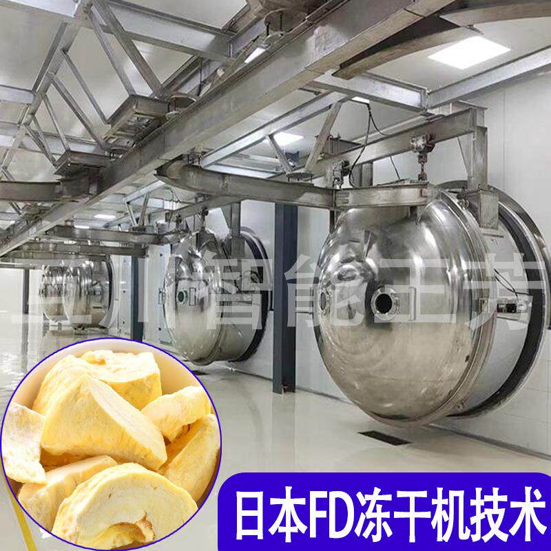 榴莲干泰国金枕榴莲脆块低温冷冻机 有零有食冻干草莓真空冻干机