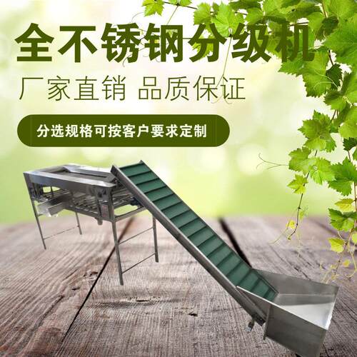 水果分级机土豆金桔樱桃芒果分选机果蔬选果机械