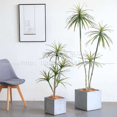 狭叶龙血树夹叶马尾铁假树盆栽橱窗装饰仿真植物人造植物假花