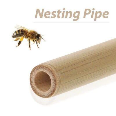 20 Pcs Bees Nesting Bamboo DIY Beehive Houses Replacements