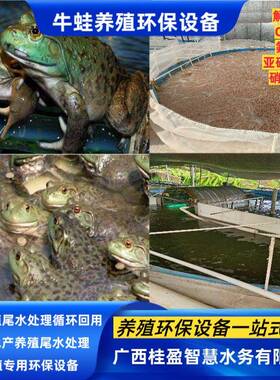 广西牛蛙养殖专用环保设备水产养殖尾水处理循环回用零排放工艺