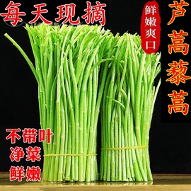 芦蒿新鲜蔬菜3斤泥蒿去叶藜蒿净菜野菜，鲜嫩蓠蒿现摘现发黎蒿