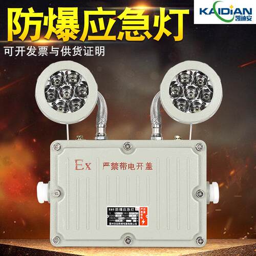 防爆紧急照明灯LED照明灯消防应急充电超亮商用工厂IP6防爆双头紧