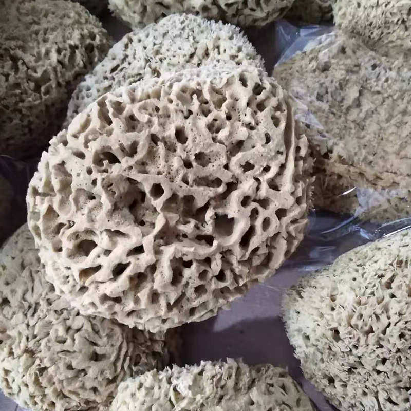 帅宁进口天然海藻绵三色珠光幻彩点彩点拍艺术涂料工具