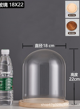 厂家跨境永生干花玻璃装饰摆件