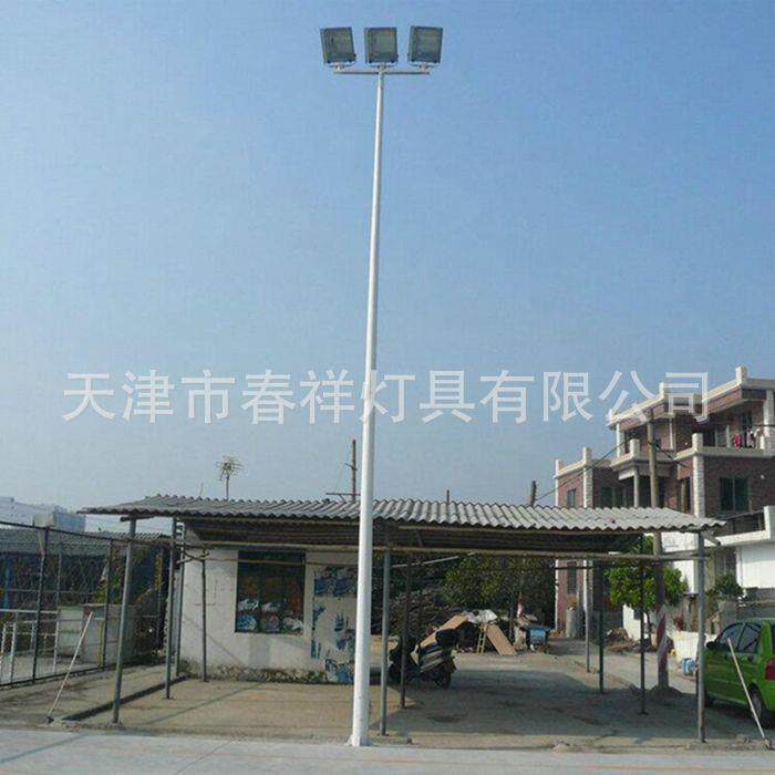 天津厂家T型投光灯杆15米高杆球场广场灯杆道路灯杆户外照明灯具