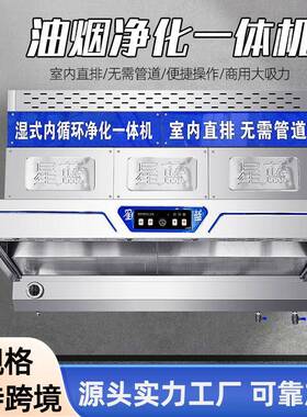 跨境室内直排油烟净化一体机烟罩餐饮饭店油雾净化一体机厂家
