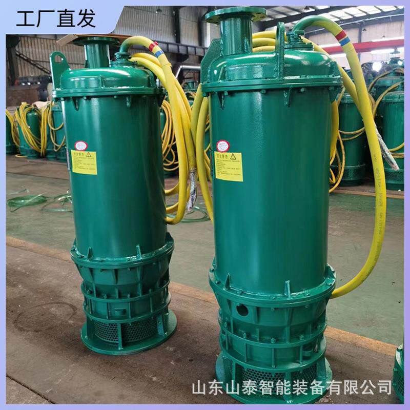 防爆排沙潜水电泵矿用隔爆潜水排沙电泵工作可靠BQS型潜水泵