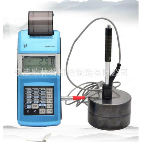 北京时代TH110便携式里氏硬度计5300 模具硬度计