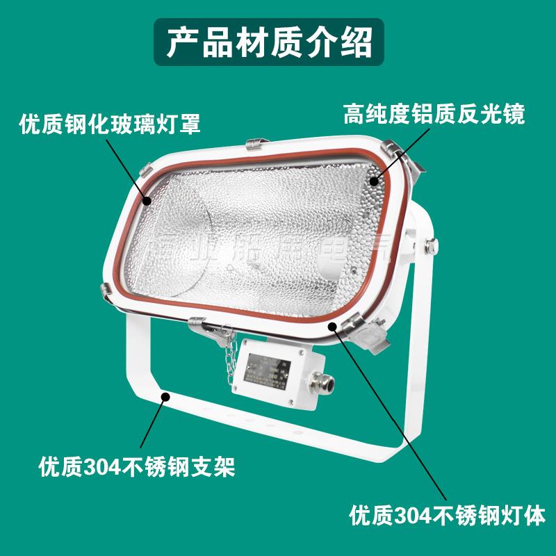 船用不锈钢卤钨防水泛光工作甲板投光灯TG4 500W/1000W JTT光源