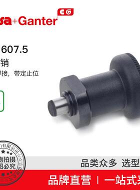 Elesa Ganter伊莉莎冈特 GN 607.5分度销 用于焊接 带定止位