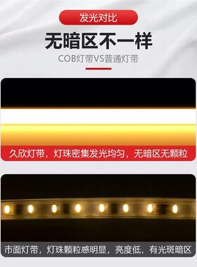 Tcob灯带1RIACco顶b灯带LED超亮高压220v户防家用客厅吊外顶水自