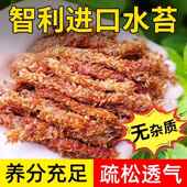 毛毛虫水苔智利进口铁皮石斛苔藓土育苗冬眠过冬植料水兰花藓绿植