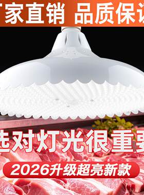 新国标LED白光灯超亮猪肉海鲜卤菜卤肉熟食店水果蔬菜节能照明灯