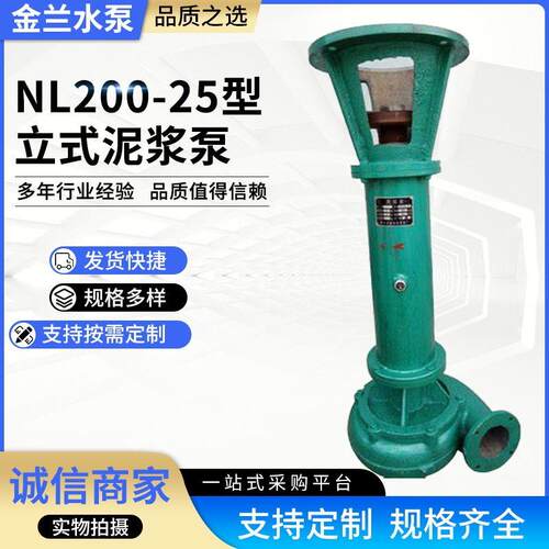 NL200-25型立式泥浆泵液下37-45kw铸铁水泵污水泵抽水泵