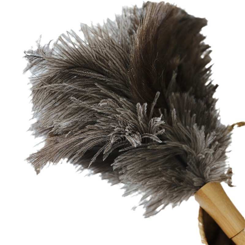 嘉舶邮包楠竹羽毛无电车静电鸵鸟毛清洁家用扫除尘车用精选灰羊毛