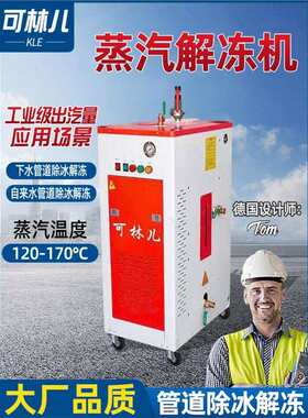 蒸汽解冻机地暖管下水管道高压蒸气化冻机消冻神器水管解冻蒸汽机