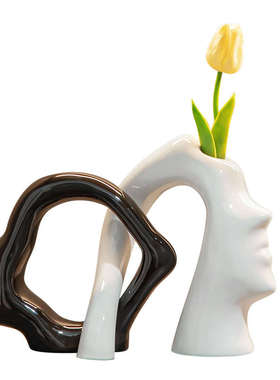 花瓶高级感高档轻奢摆件客厅插花创意艺术电视柜玄关中古风装饰品