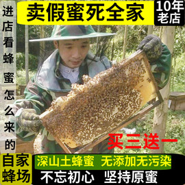 深山蜂蜜纯正天然农家自产野生土蜂蜜龙眼蜜荔枝蜜百花冬蜜无加工
