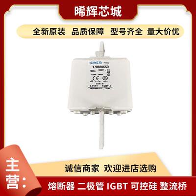 170M8638170M8650 巴斯曼直流快速熔断器型号齐全量大从优直供