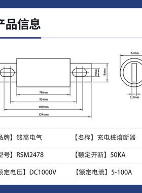 DC1000V充电桩熔断器RSM2478汽车熔断器(RS309,FWH100A,HEV)100A
