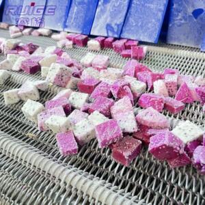 大型隧道式速冻机秋葵胡萝卜丁速冻机毛豆黄桃速冻机厂家直销