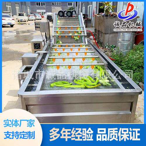 葡萄果蔬气泡清洗机蓝莓草莓气泡清洗机商用蔓越莓喷淋式清洗机