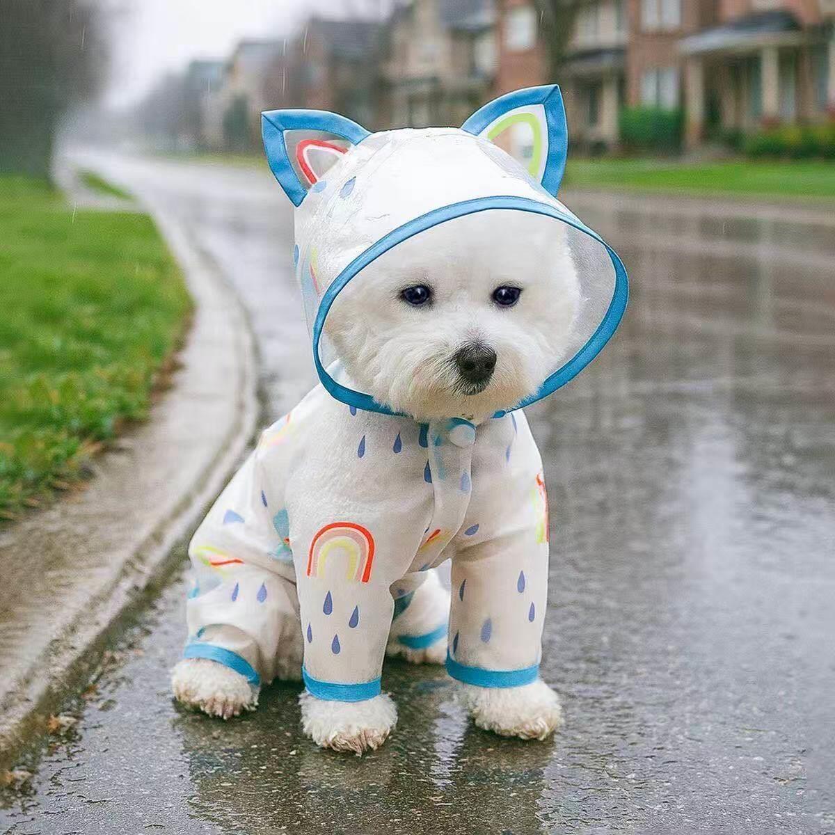 雨天宠物服饰泰迪四脚小型犬雨披防水狗狗雨衣宠物狗雨衣