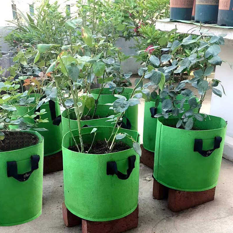 种植箱阳台楼顶种菜盆无纺布种植袋多肉花盆美植袋蔬果月季育苗盘,鲜花速递/花卉仿真/绿植园艺,花盆,淘宝优惠券,粉丝福利购,淘宝优惠卷