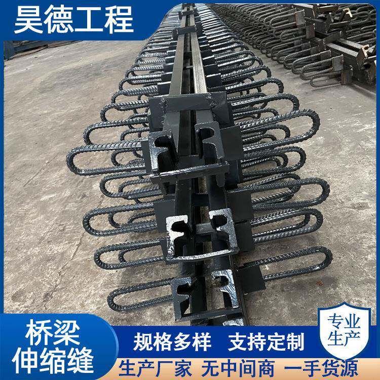 公路桥梁伸缩缝GQF-F型D406080型异型钢毛勒缝模数式伸缩装置