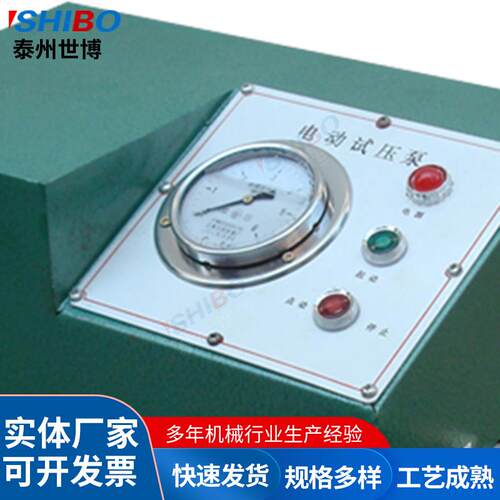 世博厂家供应电动试压泵泵 455DSB-25电动 试压直厂家销
