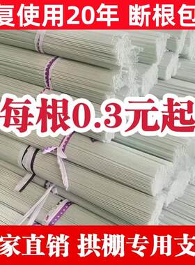 小拱棚支架棚架蔬菜水果地膜蔬菜棚暖棚农用植物种地防虫网有弹性