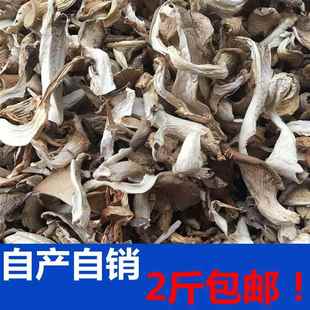 云南特产干平菇干货菌类蘑菇黑白平菇新鲜油炸秀珍菇食用菌真姬菇