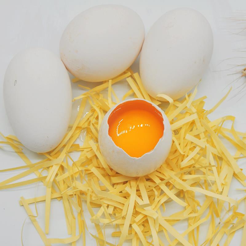包邮正宗土鸭蛋大新鲜30枚破损包赔农家散养现捡现发孕妇辅食