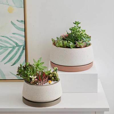 复古多肉花盆大口径带托盘肉肉植物专用组合拼盆家用大号花盆陶瓷