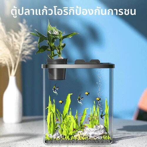 Fish tank acrylic transparent small living room decoration